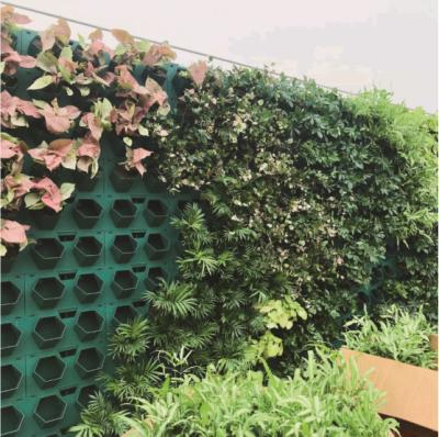 China Modern Best Selling Outdoor Living Wall Hanging Decoration Vertical Green Flower Plant Pot for sale