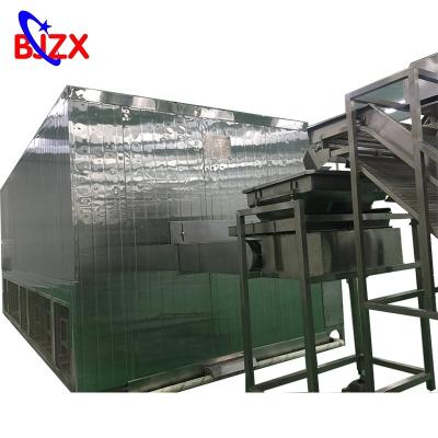 China Frozen food machine frozen fruit grain raspberry tunnel air jet freezer IQF deep freezing machine for sale