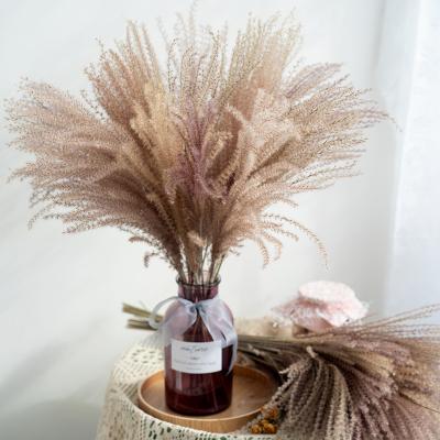 China Wholesale Small Dry Pampas Grass Ponytail Dried Miscanthus Brown Hot Selling Natural Pampas Grass for sale