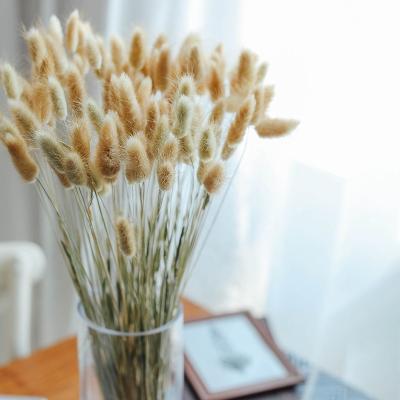 China Wholesale High Quality Dry Lagurus Dry Flower for Christmas Decorative Home Decor Flower and Garland for sale