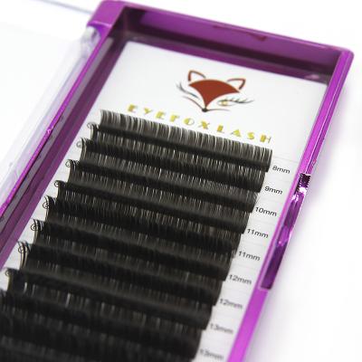 China Private Label Super Soft And Ultra Light Flat Lash Synthetic Flat Lash Extensions 0.15mm Flat Lash 0.20mm for sale