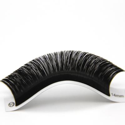 China Super Soft And Ultra Light Russian Volume Color Whips C Curl D Curl Russian Volume Whips Hot Sale Russian Volume Mink Tape Lashes for sale