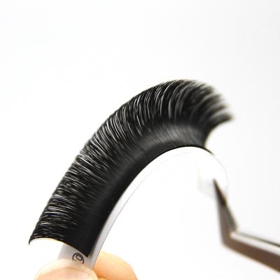 China Lash Super Curly Russian Volume Natural Soft Strands Pre Made 3D Eyelash Volume Extension Lash Strips Russian Volume for sale