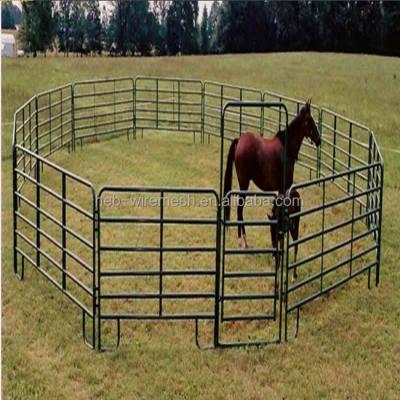 China Easily Assembled Hot Dipped Galvanized Cattle Yard Panel for sale