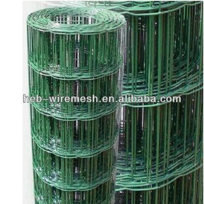 China Construction Wire Mesh Welded Wire Mesh for sale