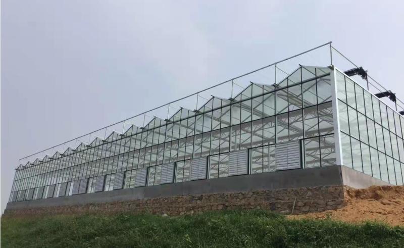 Verified China supplier - Hebei Wangfeng Greenhouse Equipment Co., Ltd.