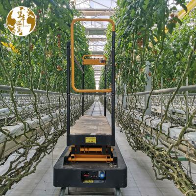 China 3m Electric Hydraulic 4m Greenhouse Forklift Production Mobile Hydraulic Greenhouse Picking Mobile Fruit and Vegetable Trolley for sale