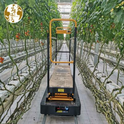 China 3m Electric Hydraulic 4m Tomato Trolley Greenhouse Picking Trolley Greenhouse Picking Picking Machine for sale