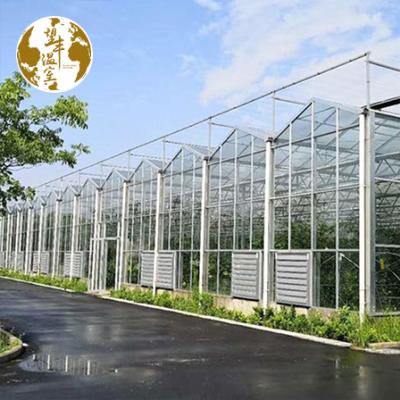 China Low Cost ECO Friendly Agriculture Greenhouse Glass Plant Vegetables Fruits Flowers for sale