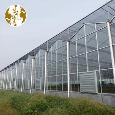 China ECO-FRIENDLY Large Top Ventilated Glass Greenhouse Agriculture Can Grow Seedlings Glass Greenhouse for sale