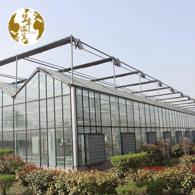 China ECO FRIENDLY Commercial Agricultural Glass Green House With Hydroponics System Growing Vegetables for sale