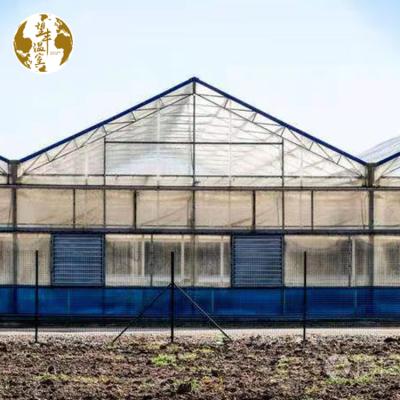 China ECO FRIENDLY Turnkey Projects Multi-Span Polycarbonate Greenhouses Greenhouse Agricultural For Tomato Farm Greenhouse for sale