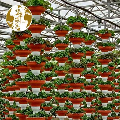 China High Quality Strawberry Planting Indoor Hydroponic Systems Customized Size Farm Equipment Bowls for sale