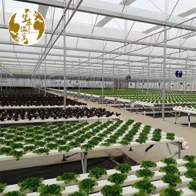 China High Quality Strawberry Planting NFT Channel Hydroponic System for Growing Vegetables and Lettuce Fruits for sale