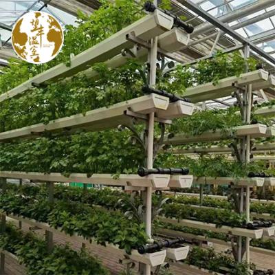 China High Quality Strawberry Planting Growing Greenhouse Hydroponic Channel PVC Hydroponic Channel Vertical Nft Gutter Hydroponic Growing System for sale