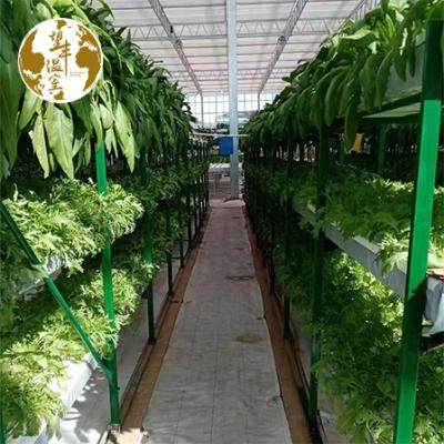 China Supply High Quality 120*80mm NFT Greenhouse Maker Full Planting Strawberry Hydroponic Growing System For Melon And Fruit for sale