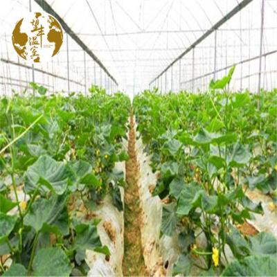 China Good Quality Easily Assembled And Economic Wholesale Steel Grid Structure Arch Shed For Hydroponic Greenhouse for sale