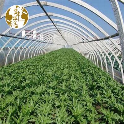 China Easily Assembled Plastic Steel Structure Tunnel Greenhouse Sale Galvanized Agricultural Best And Economic Price for sale