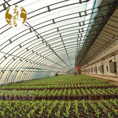 China Factory price easily assembled and economical use greenhouse plastic sheet protection pe film agricultural UV greenhouse for sale