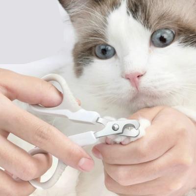 China Newest Viable Ferret Small Pet Grooming Scissors Claw Nail Pet Grooming Supplies for sale