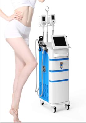 China 5 treatment heads Freeze Cryolipolysis Machine body slimming sanhe brand and OEM for sale