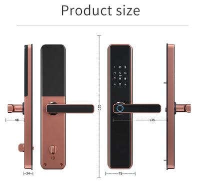 China 304 SS Smart Electronic Outdoor Waterproof Biometric Fingerprint Scanner Keyless House Lock Door Locks For Aluminum Glass Swing Door for sale