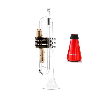 China ABS Good Quality OEM Practice Lightweight BB Trumpet Educational Clear Design New Professional Trumpet Sound With Trumpet Silencer Set for sale