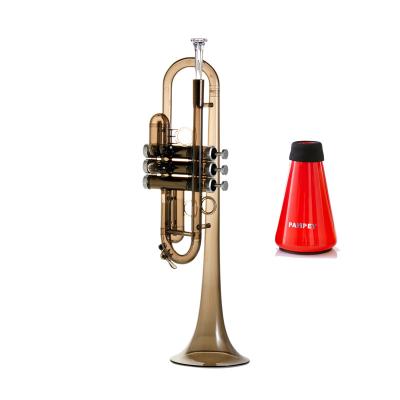 China Newest Beginner Practice Trumpet Instrument Educational Lightweight Plastic Trumpet Set With Trumpet Mute And Mouth Pieces for sale