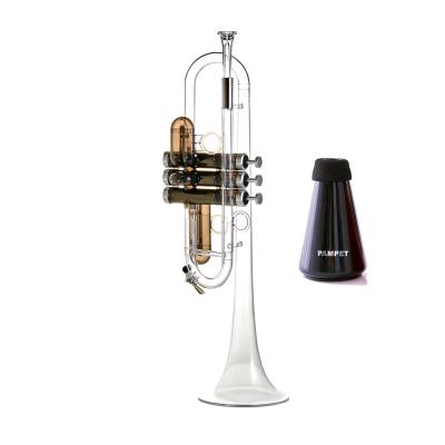 China C Standard Educational Crystal Plastic Trumpet Main Instrument for Students Practice Trumpet Mute and 3C 7C Mouthpieces for sale