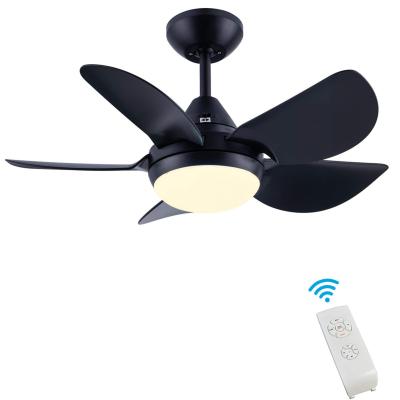 China With Light With Lights 30 Inch Small Modern Ceiling Fan With 5 Reversible Blades, Remote Controls Adjustable Color Temperature for sale