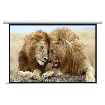 China Best Motorized Projection Screen by Electric Choice for sale