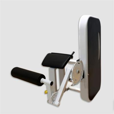 China High quality commercial fitness center prone leg curl fitness machine for sale for sale