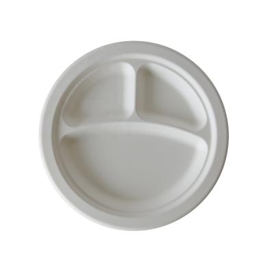 China 100% Biodegradable Compostable Sugarcane Bagasse Disposable Platos Desechables Dishes for sale