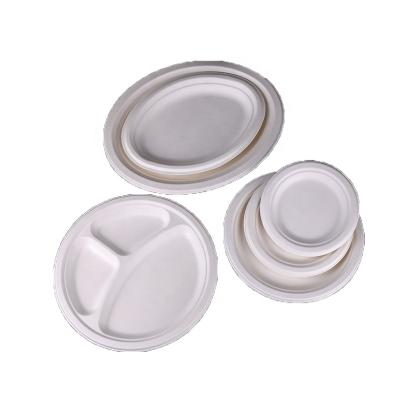 China Disposable Biodeqradable Disposable Plastic Wedding Party Dinner Dishes Set for sale