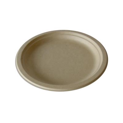 China Pizza Disposable Biodegradable Palm Leaf Paper Dish for sale