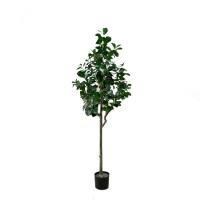 China Wholesale CREATIVE Artificial Banyan Peperomia Tetraphylla Tree Indoor Garden Decor for sale