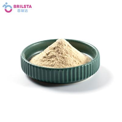 China Hot Selling Brilsta Jelly Pudding Strawberry Powder Instant Premix Healthy Fruity Powder of Tea Based Drinks for sale