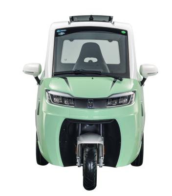 China Passenger Carbinscooter City Motion 3 Wheel City Go Wide Range citykettu for sale