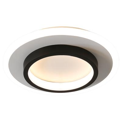 China Modern Atmosphere LED Indoor Entrance Aisle Lights Curtain Furniture Household Balcony Aisle Hallway Ceiling Lamps Luxury for sale