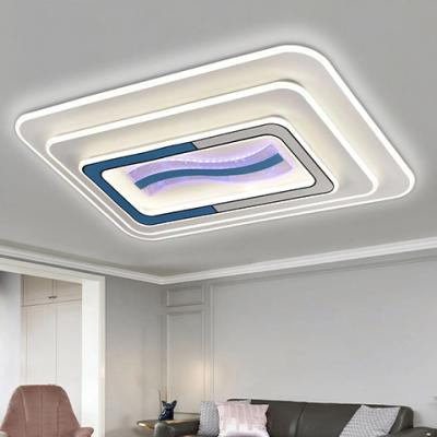 China Ceil Lamp Fancy Fixture Flush Modern Smart High Quality Outdoor Mounted Hallway Acrylic Panel Nordic Indoor Led Ceiling Lamp for sale