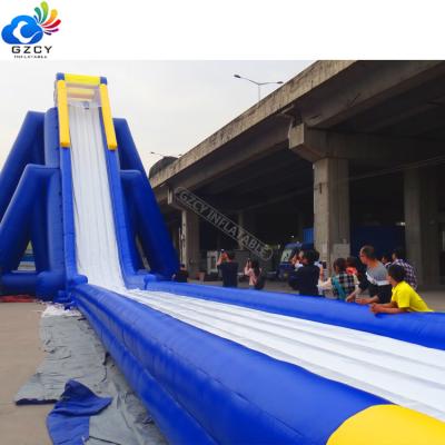 China Plato 0.55mm PVC Tarpaulin Giant Inflatable Beach Hippo Water Slide,Commercial Water Slide For Adult for sale