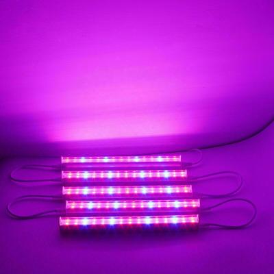 China Seed Starting Full Spectrum LED Grow Light T5 Tube For Indoor Hydroponic Veg Flower Plant Lamp for sale