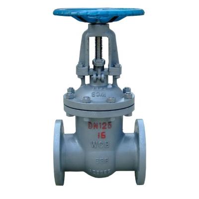 China General High Quality 1 1/4' Ss304 Stainless Steel Soft Seal Gate Valve Prices Flange Gate Valve for sale