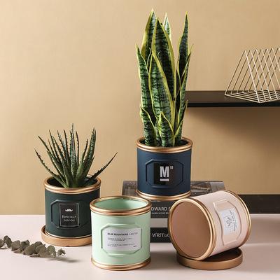 China Modern Nordic Style Flower Pots Green Plant Cylindrical Ceramic Indoor Vase With Tray For Garden Decoration Gold for sale