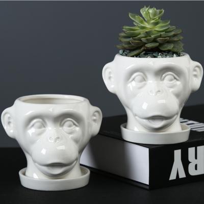 China Modern Creative Monkey Head Flower Pot Plant Container Ceramic Succulent Decoration for Home Office Garden for sale