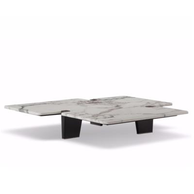 China OEM& New Design ODM Irregular Shape Modern Living Room Tea Table Nordic Luxury Stone Available Coffee Table for sale