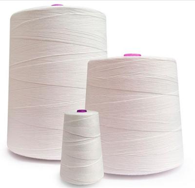 China 5kg 20S 6ply Polyester Knotless Yarn Sewing Bag Closing Yarn Wholesale Abrasion-Resistant Yarn for sale