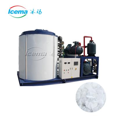 China High Quality Hotels 5 Tons Flake Ice Machine For Mozambique for sale