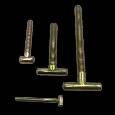 China Stainless steel T-bolt screws for sale