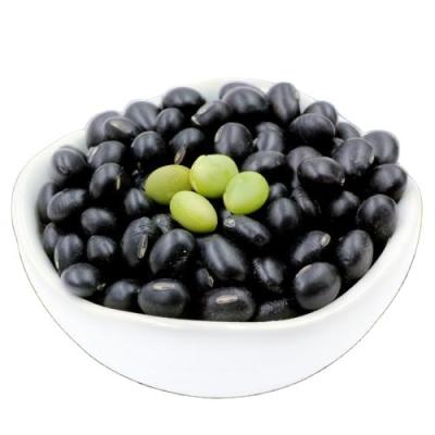 China Dry Natural Fresh Taste Round Green Kernel Black Bean for sale